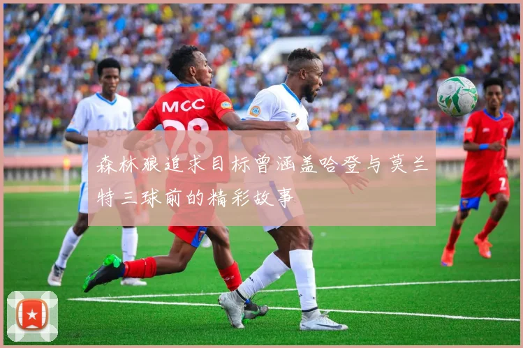 森林狼追求目标曾涵盖哈登与莫兰特三球前的精彩故事