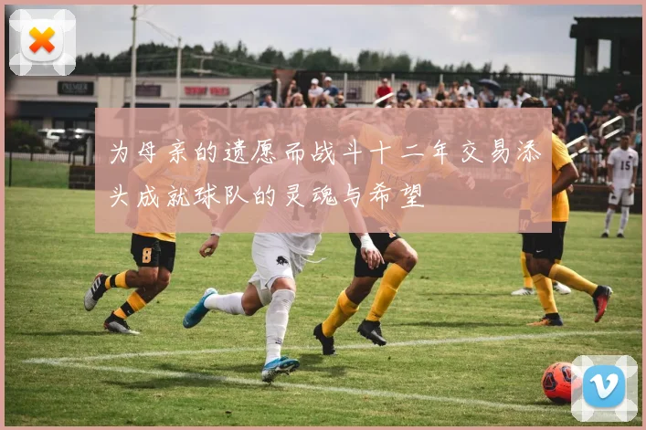 为母亲的遗愿而战斗十二年交易添头成就球队的灵魂与希望